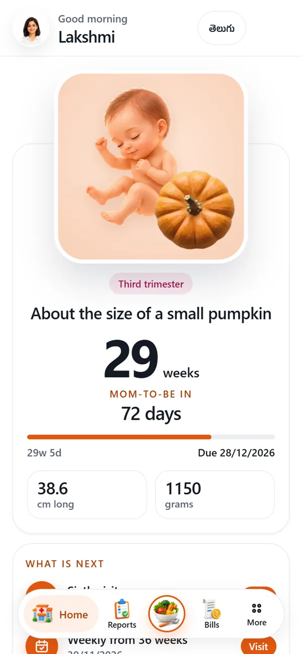 Sara Maatru: 29 weeks, the baby's size